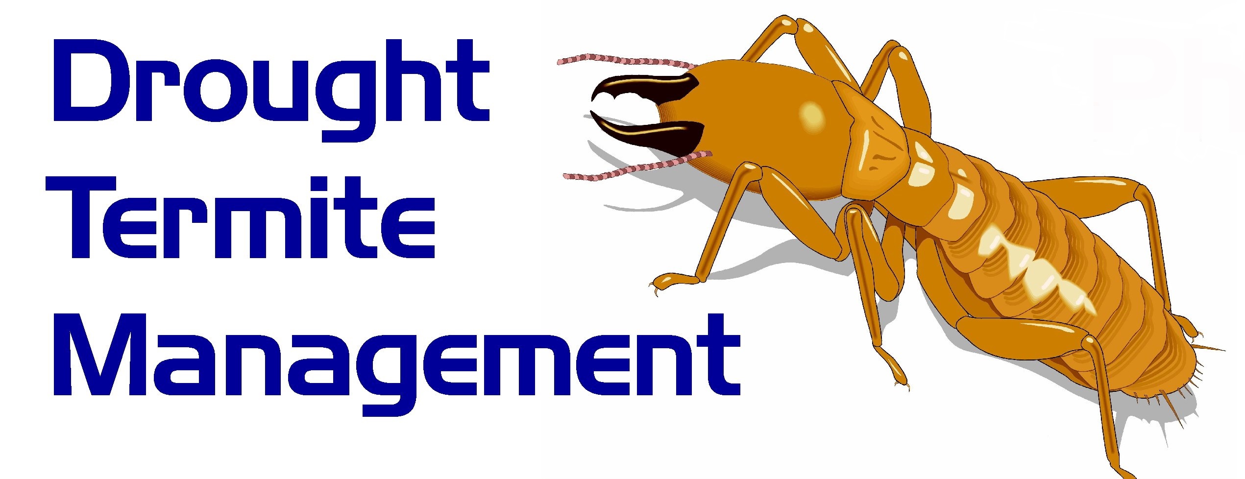 Drought Termite Management logo amended